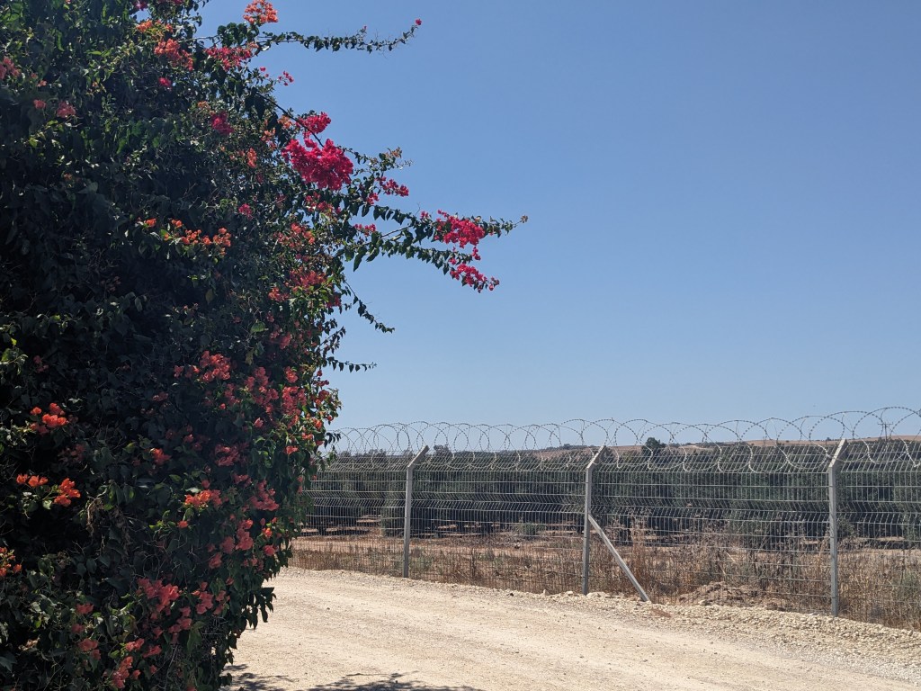 05. August –&nbsp;Ha’zaya